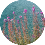 klassische Physiotherapie